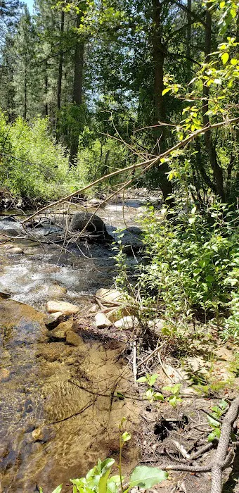 Beaver Campground 4