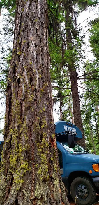 Loup Loup Campground 6