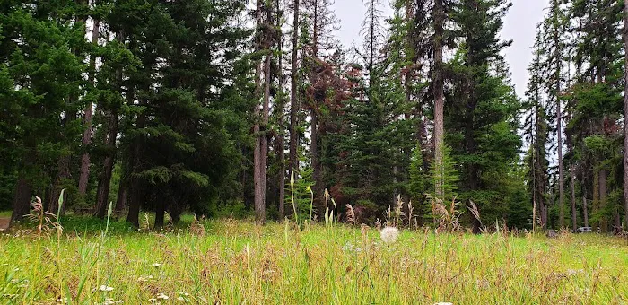 Loup Loup Campground 8