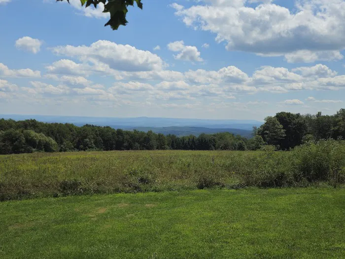Blue Knob State Park Campground 3