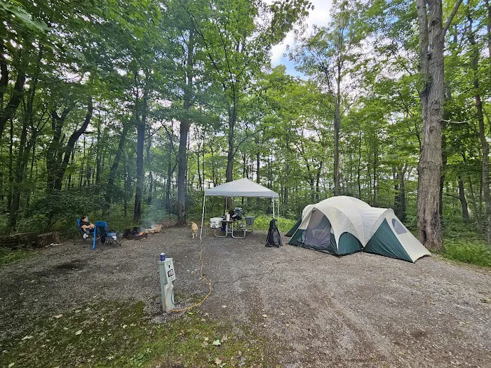 Blue Knob State Park Campground 5