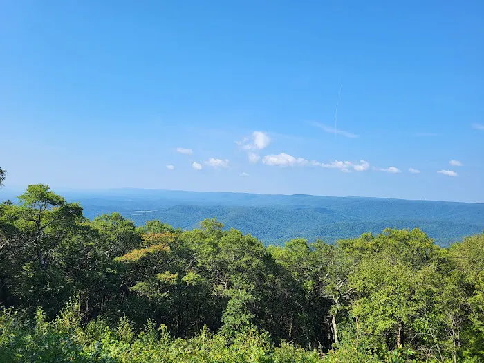 Blue Knob State Park Campground 6