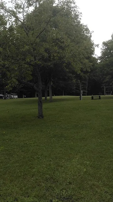 Blue Knob State Park Campground 7