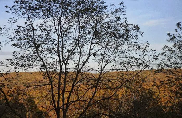 Buck's Campground 0