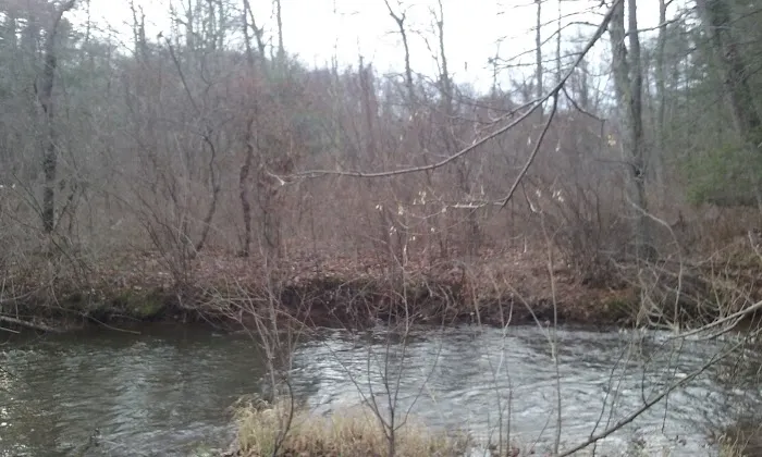 Brush Creek Campground 0