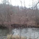 Brush Creek Campground