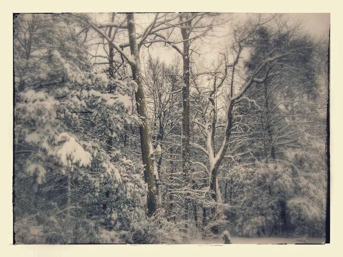 Brush Creek Campground 3