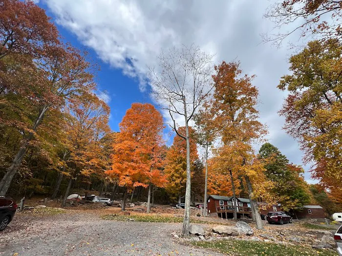 Timber Run Campground 4