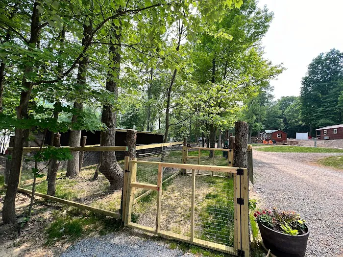 Timber Run Campground 8