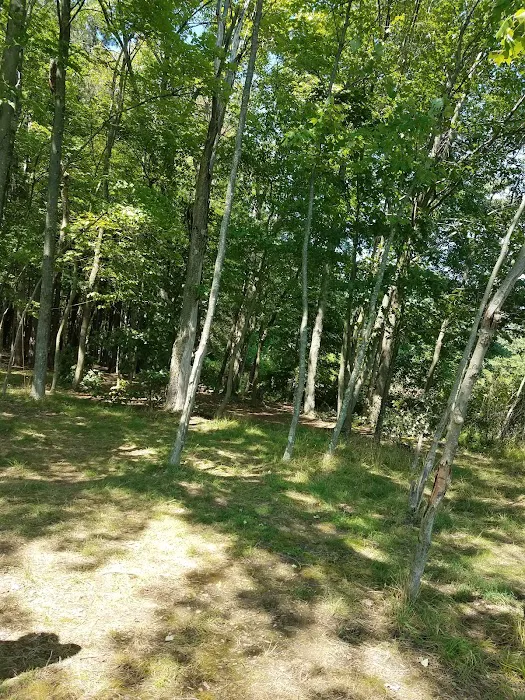 Quemahoning Family Recreation Area 0