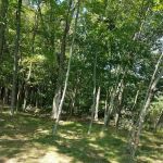 Quemahoning Family Recreation Area