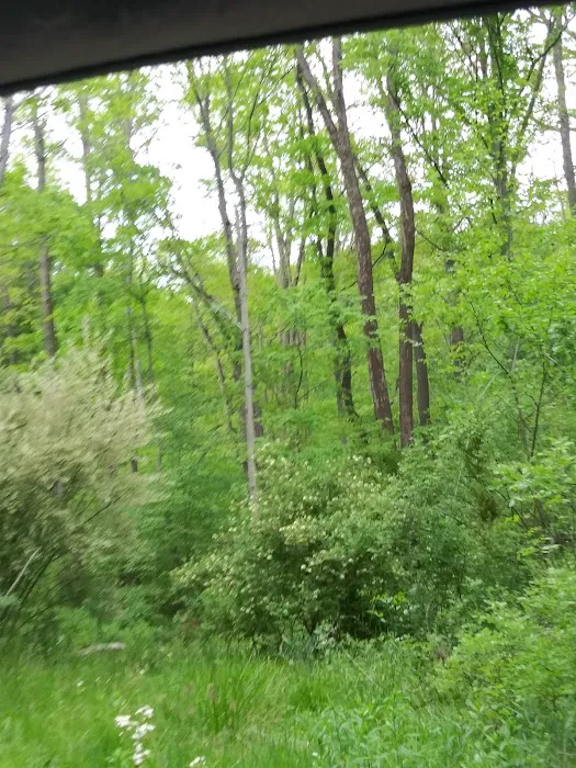 Quemahoning Family Recreation Area 5