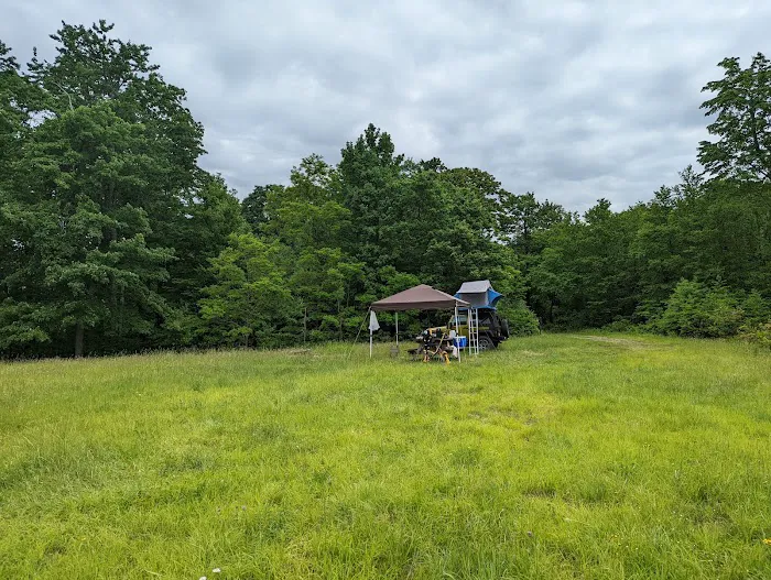 Forbes State Forest Motorized Camping #1 0