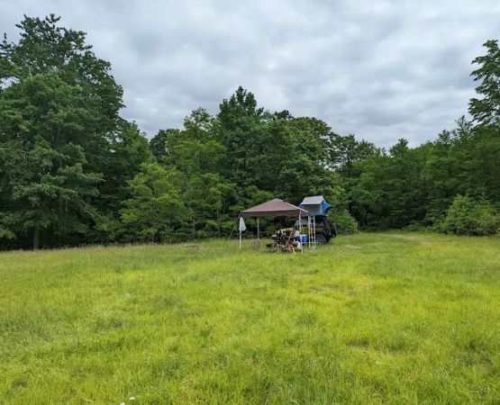 Forbes State Forest Motorized Camping #1
