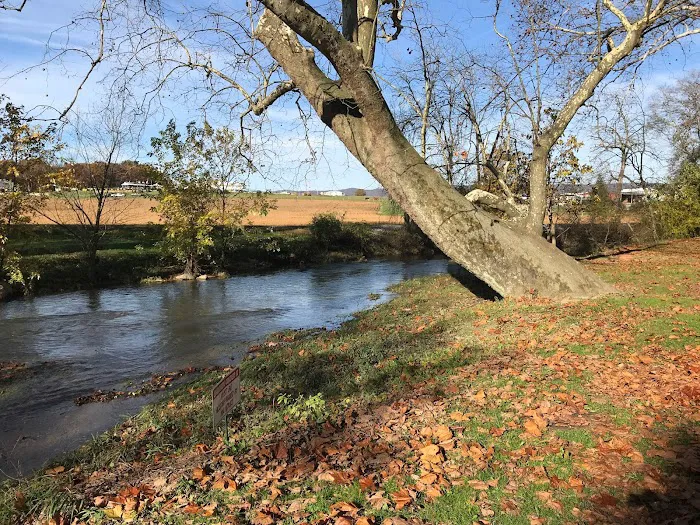 Twin Bridge Campground 3