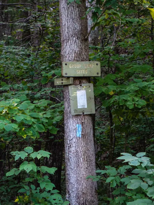 Group Camp Sites 3