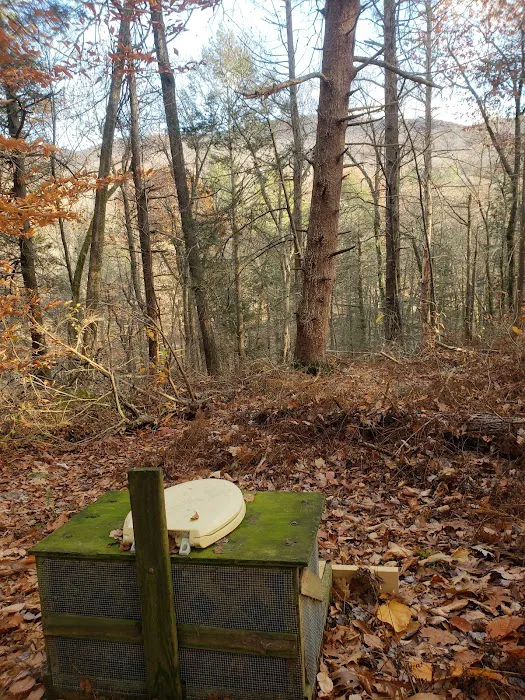 Group Camp Sites 8
