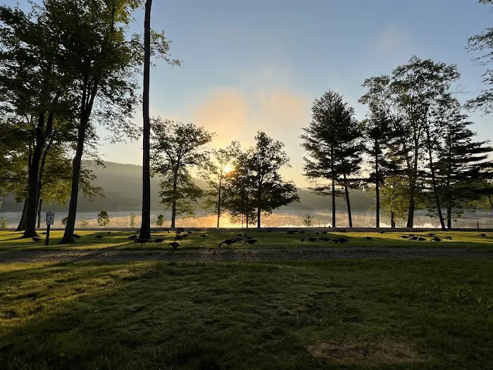 Lake Waramaug State Park Campground 8