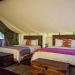 Ithaca by Firelight Camps