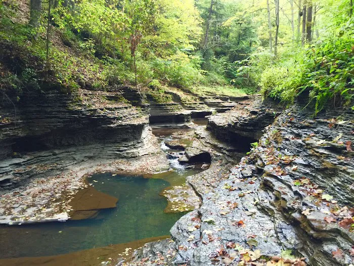 Buttermilk Falls State Park 0