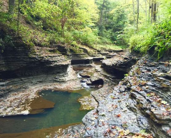 Buttermilk Falls State Park