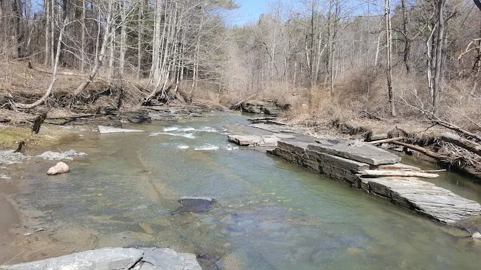 Buttermilk Falls State Park 4