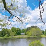 Riverfront Campsites