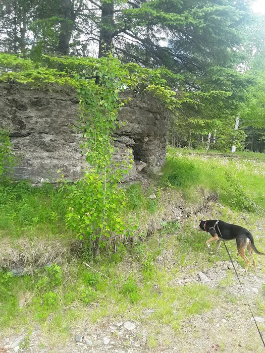 Moose River Campground 4