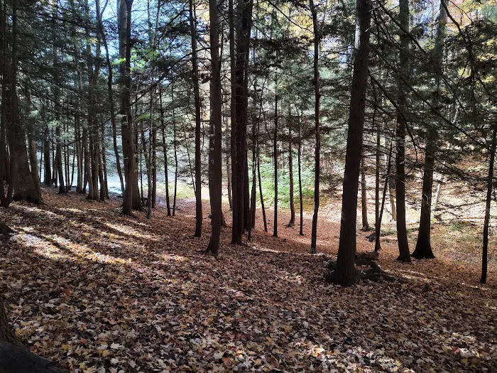 Crooked Run Campground 3