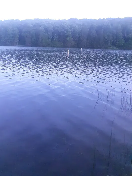 Crooked Run Campground 9