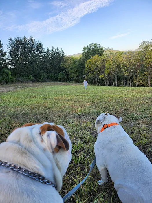 Wright’s Orchard Station Campground 3
