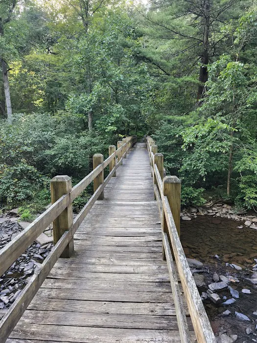 Trough Creek State Park Campground 0