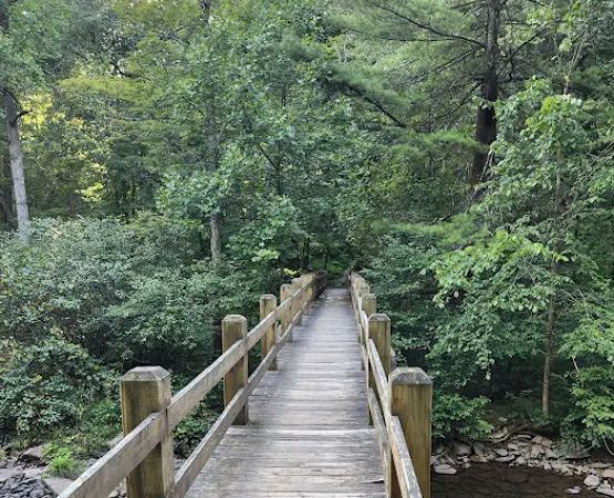 Trough Creek State Park Campground