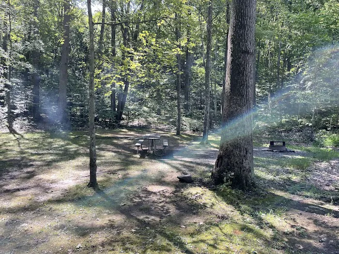 Trough Creek State Park Campground 2