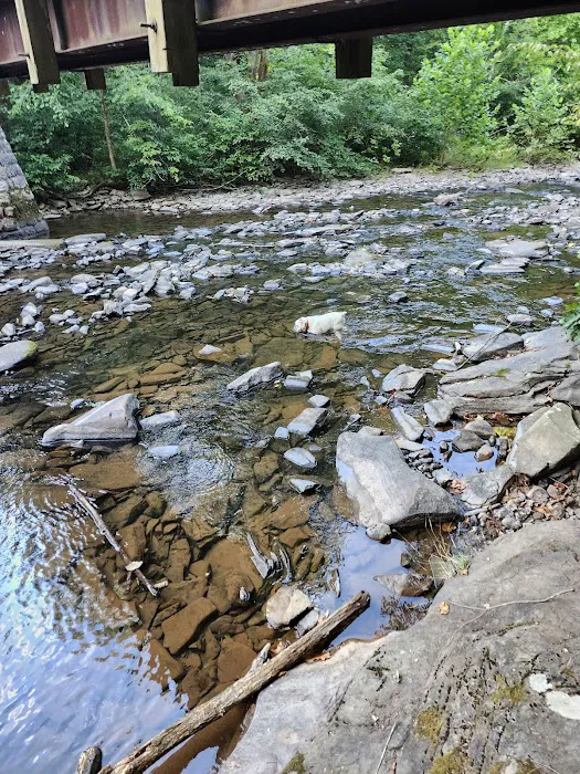 Trough Creek State Park Campground 6