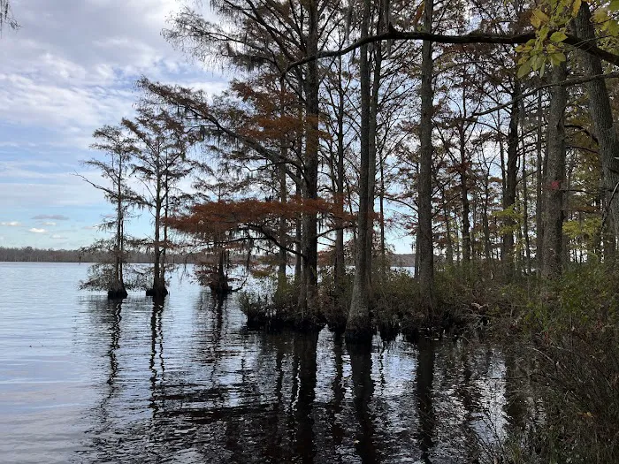 Holladay Island East 1
