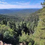 Haigler Canyon Campground