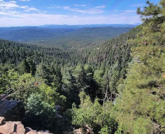 Haigler Canyon Campground