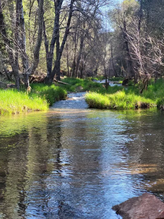 Haigler Canyon Campground 1