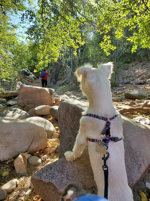 Haigler Canyon Campground 2