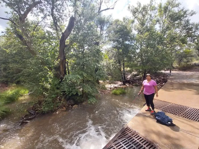 Haigler Canyon Campground 4
