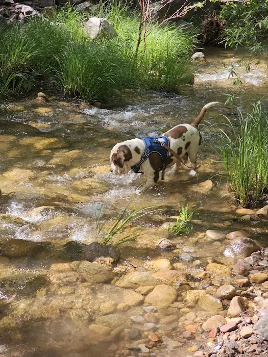 Haigler Canyon Campground 7