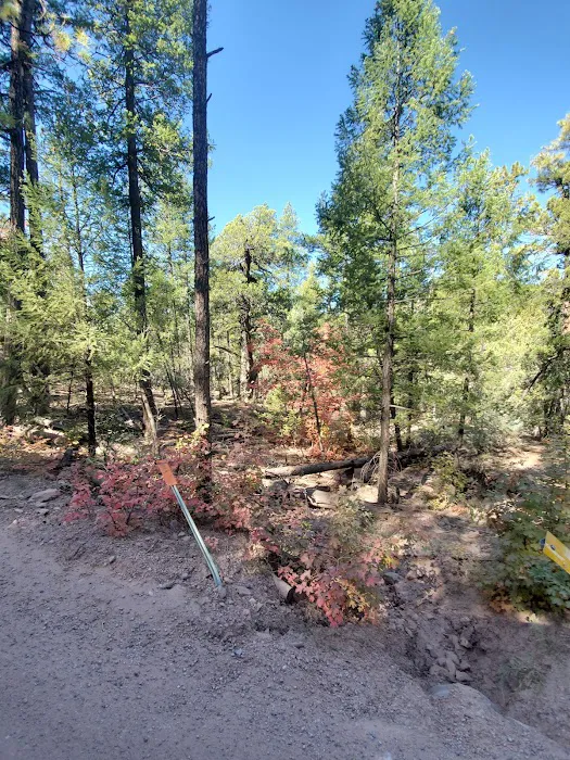 Haigler Canyon Campground 6
