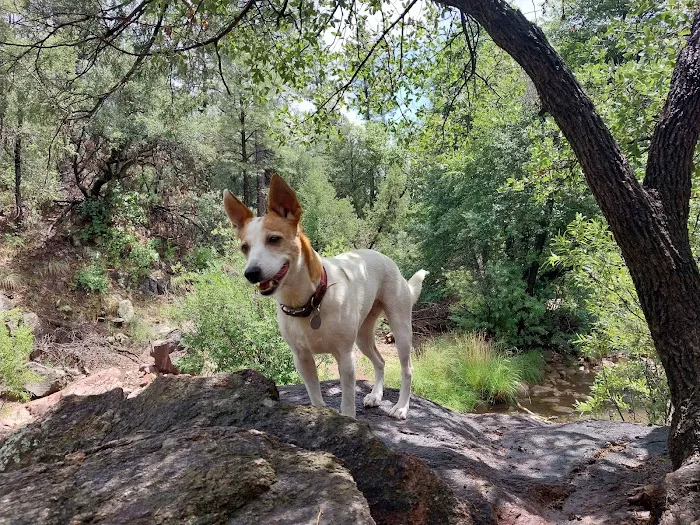 Haigler Canyon Campground 9