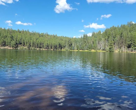 Cyclone Lake Campground