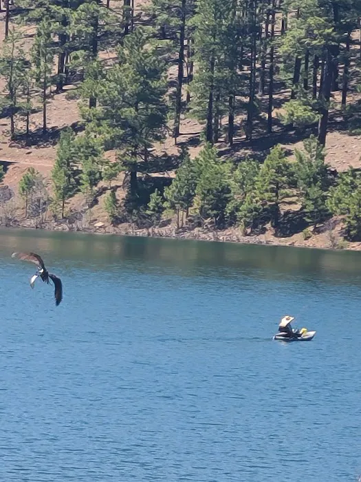 Cyclone Lake Campground 9