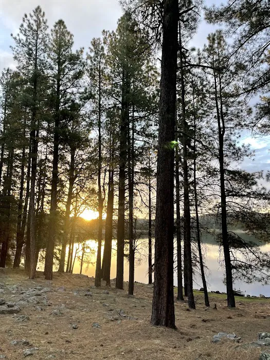 Hawley Lake Campground Area 5