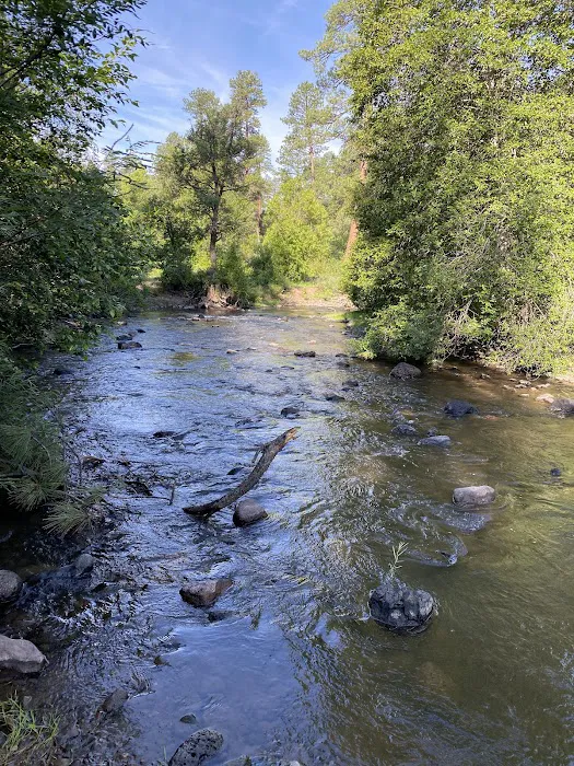 Hawley Lake Campground Area 8