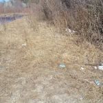 Diamond Creek Junction Campground