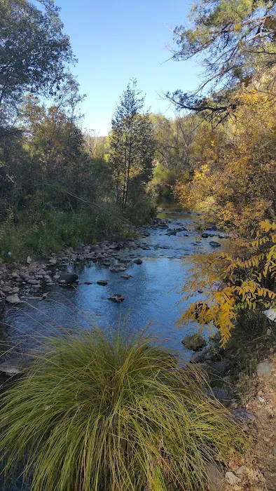 Diamond Creek Junction Campground 2